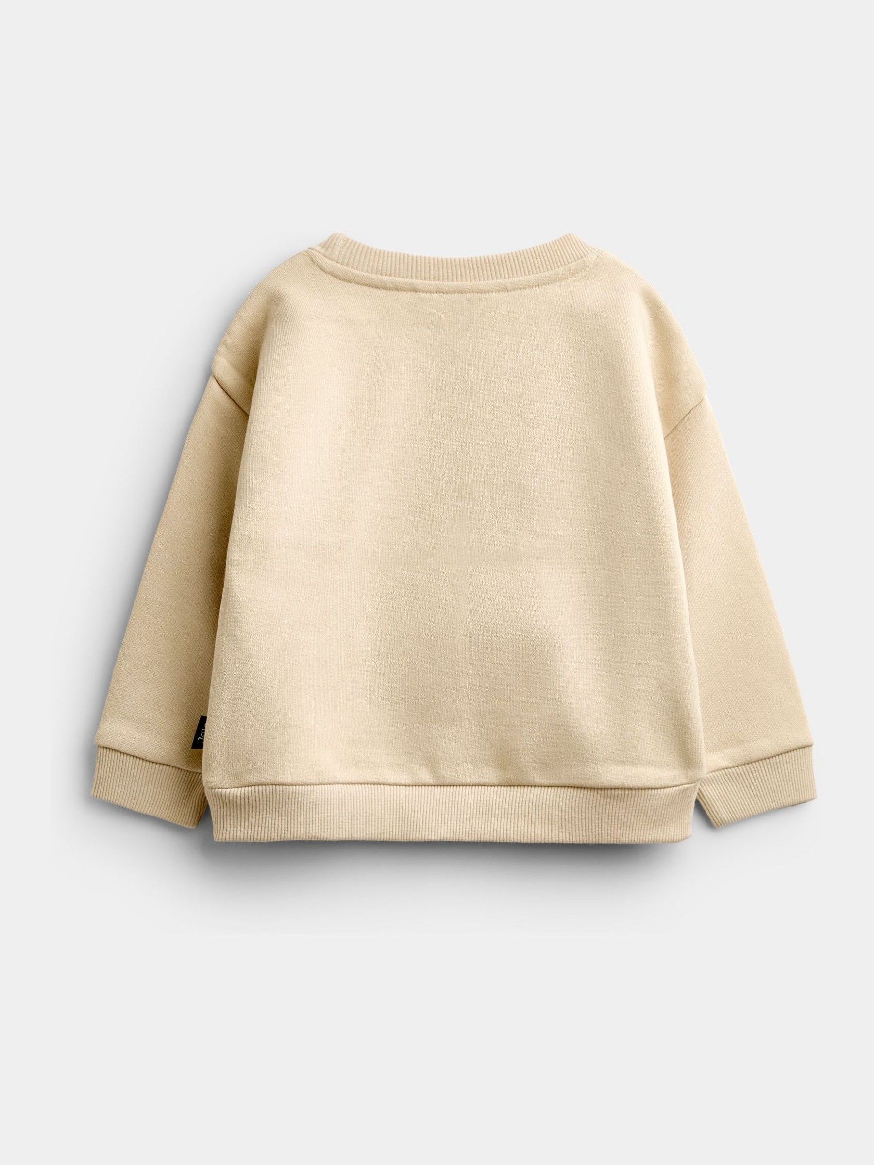 Natural Dino Slogan Sweatshirt - Image 2 of 4