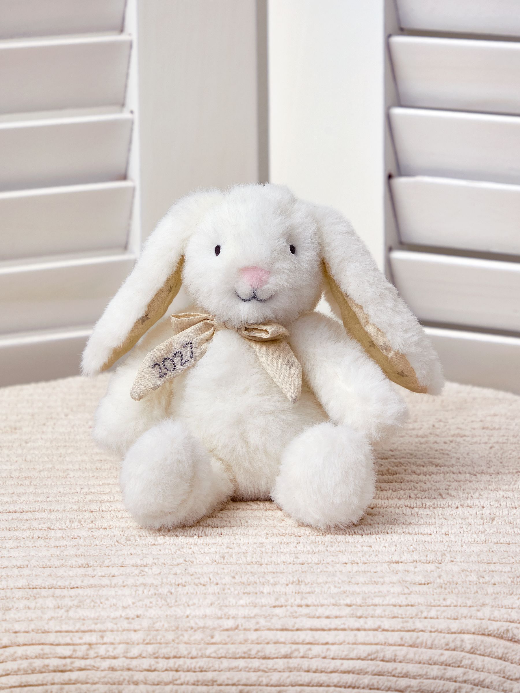 "Born in 2027" Small Bunny Soft Toy - Image 1 of 4