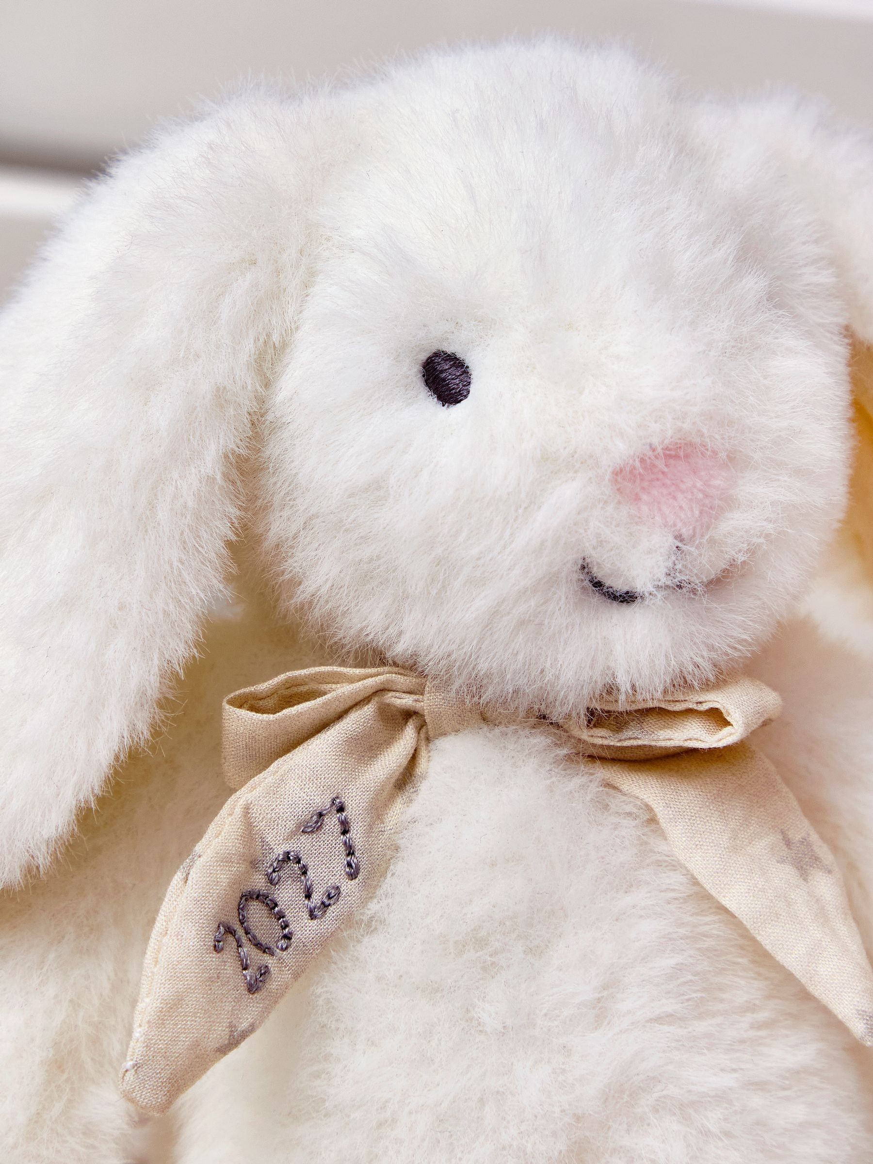 "Born in 2027" Small Bunny Soft Toy - Image 4 of 4