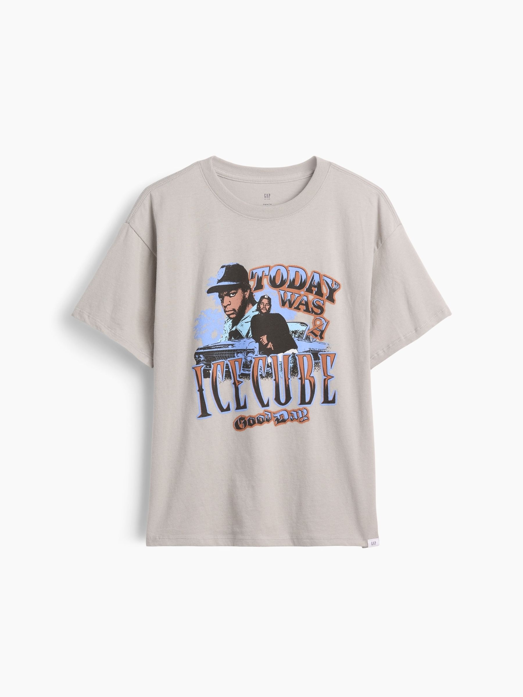 Grey Ice Cube Relaxed Graphic Short Sleeve T-Shirt - Image 1 of 3