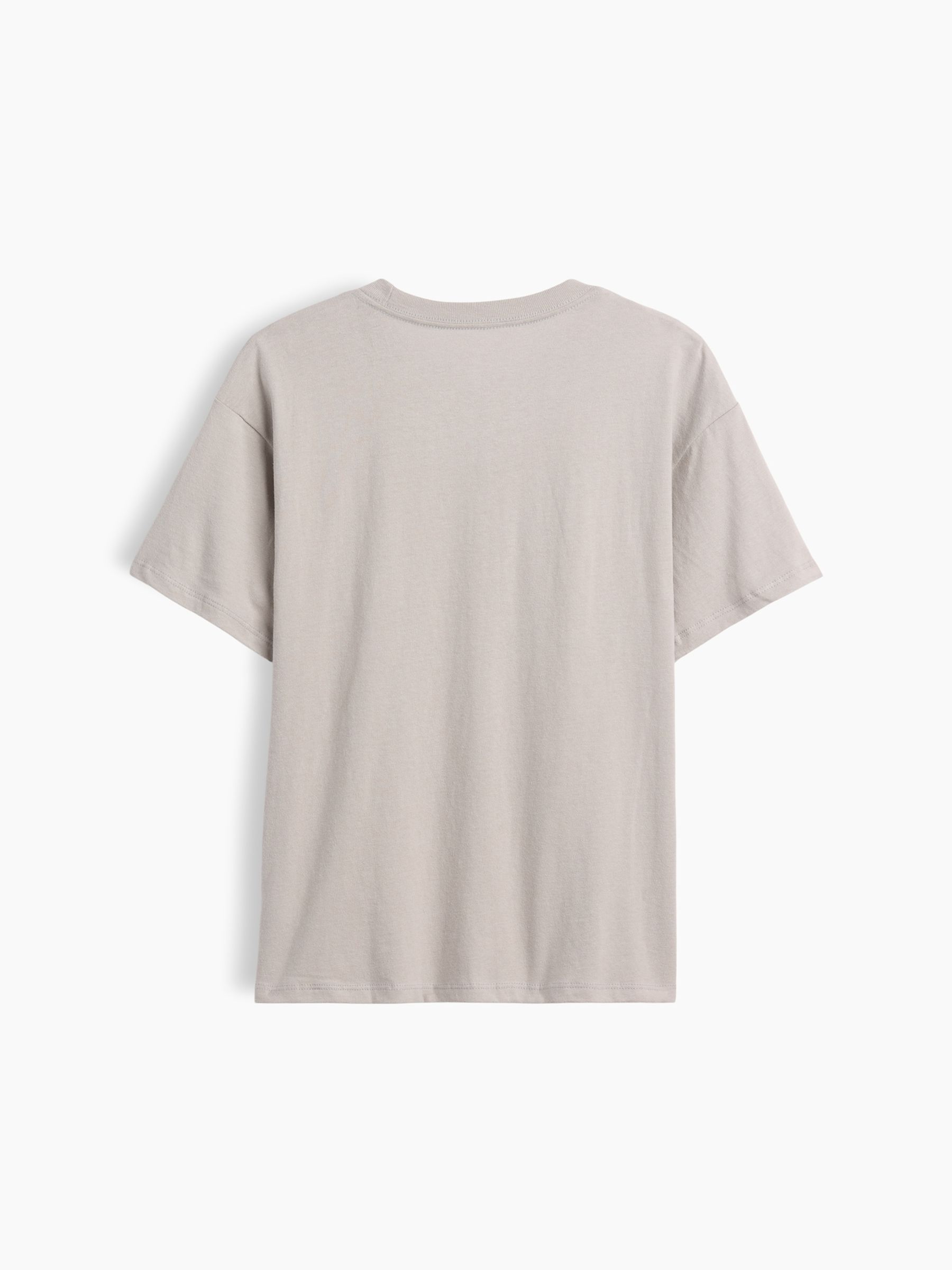 Grey Ice Cube Relaxed Graphic Short Sleeve T-Shirt - Image 2 of 3