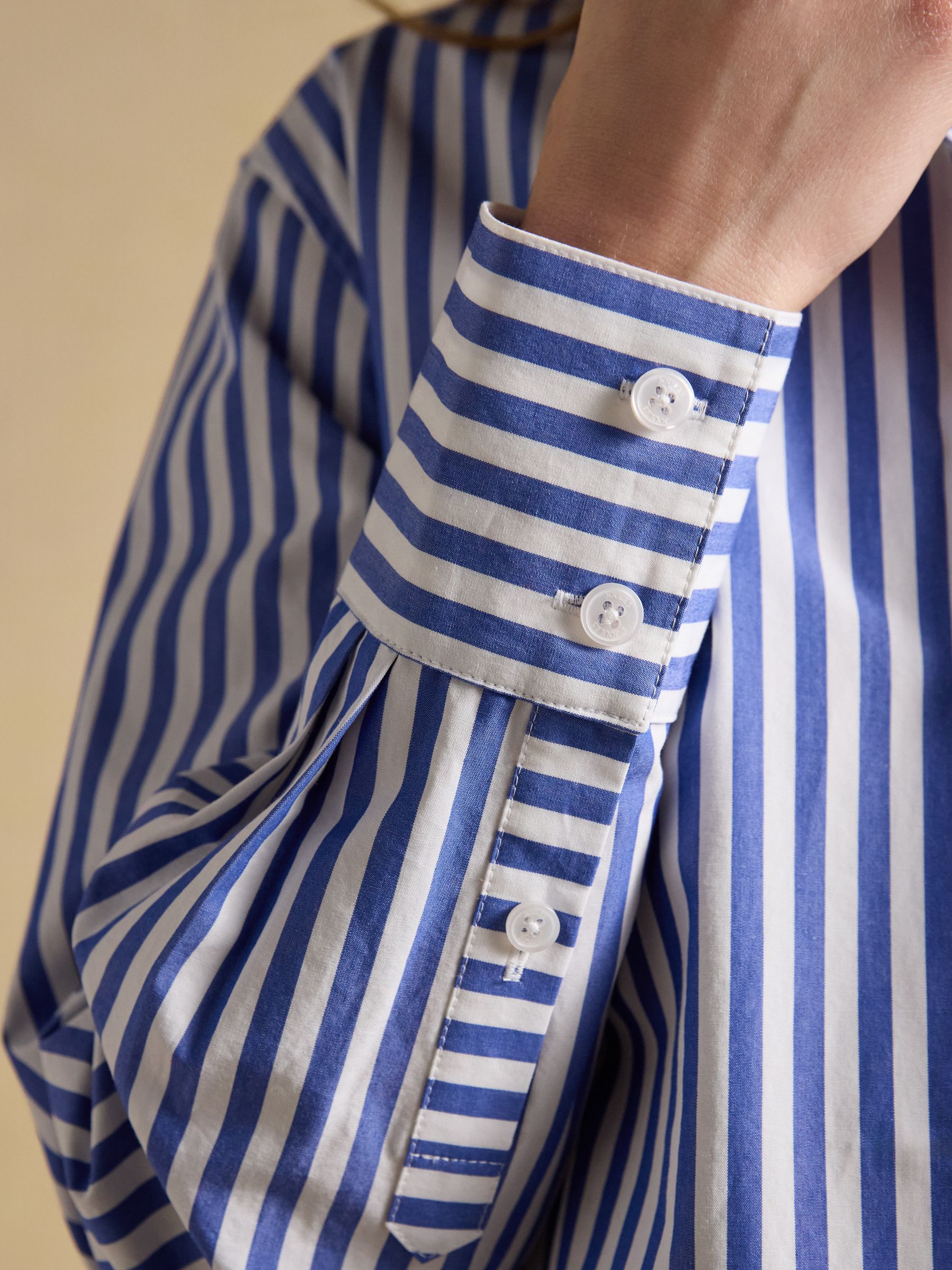 Blue Striped Jonty Fox Embroidered Boyfriend Poplin Shirt - Image 4 of 10