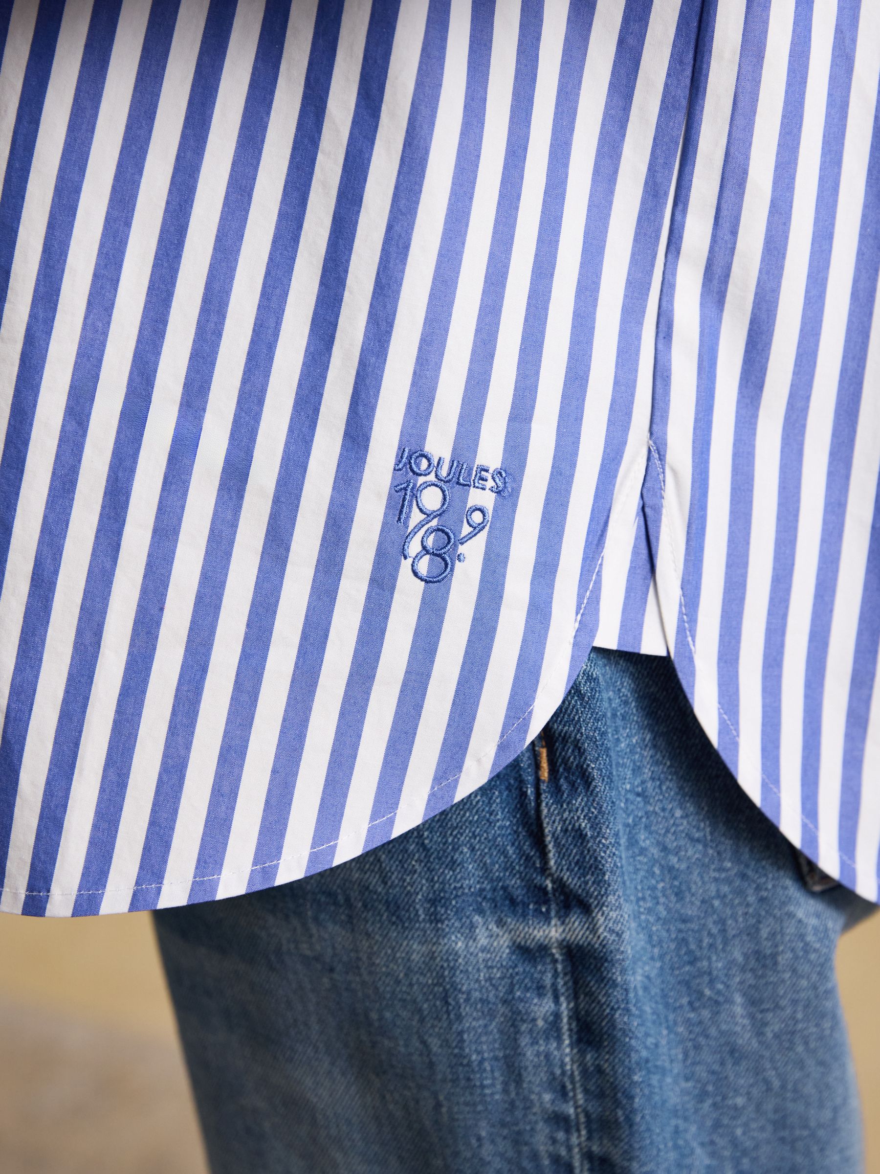 Blue Striped Jonty Fox Embroidered Boyfriend Poplin Shirt - Image 6 of 10