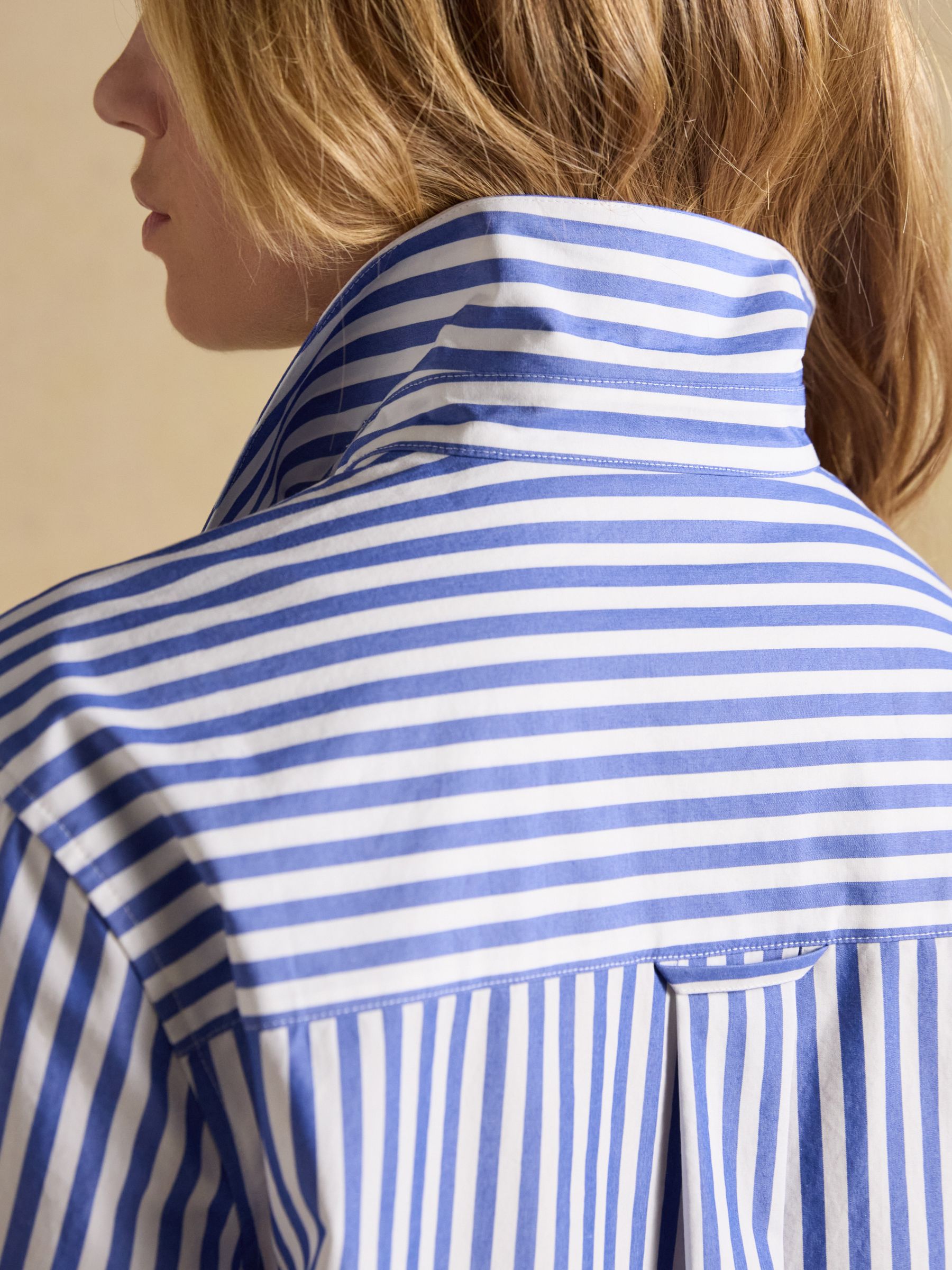Blue Striped Jonty Fox Embroidered Boyfriend Poplin Shirt - Image 8 of 10