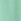 Green Pique Cotton Polo Shirt