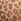Leopard Brown Retro T-shirt