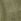 Olive Green Canvas Favorite Tote Bag