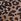 Brown Leopard Knickers