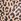 Brown Leopard Bra