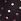 Black/Pink Foil Dots Push Up Bra