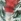 Tis The Season Gentle & Clean Foaming Hand Soap 259ml