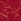 Red Lacquer Thong Shimmer Lace Knickers