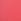 Coral Triangle Halter Neck Bikini Top