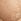 Praline Nude Posey Lace Knickers