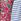 Blue & Pink Frill Sleeve Print Dress Two Pack