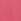 Dark Pink Chino Shorts