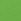 Mid Green T-shirt