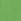 Bright Green Cami