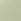 Green Haze Sunglasses Case