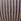 Beards & Daisies Real Money Plant In Ribbed Pot