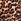 Leopard Brown Halter Push Up Bikini Top