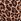 Leopard Brown Knickers