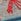 Grey Sealife Regular Men's Socks