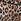 Leopard Brown Thong Knickers
