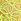 Limelight Green Geo Daisy Lace Bra
