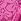 pink gossip Floral Lace Knickers