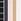 White/Nude/Pink/Black 5 Pack Knickers