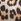 Leopard Brown Am/pm Makeup Bag Duo