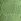 Wild Grass Green Swim Bikini Bottom