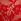 Vermillion Red Twinkle Strap Knickers