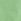 Light Green T-shirt