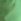 Green Polo Shirt
