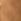Camel Brushed 100% Cotton Shirt