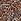 Leopard Brown Chain Scoop Swimsuit