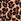 Leopard Brown Halter Push Up Swimsuit
