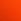 Wild Orange Knickers