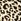 Leopard Brown Knickers