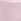Pink Tulip Cotton Logo Knickers