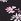 Black Floral No Show Lace Trim Cheeky Knickers
