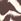 Zebra Brown Bikini Bottoms