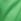Wild Green Short Pyjama Bottoms