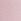 Pink Tulip Cotton Logo Knickers