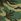 Green Camo Low Back One Piece