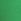 Wild Green Seamless Knickers