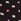 Black Pink Print No Show Thong Knickers