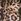 Leopard Brown 4 In 1 Makeup Bag